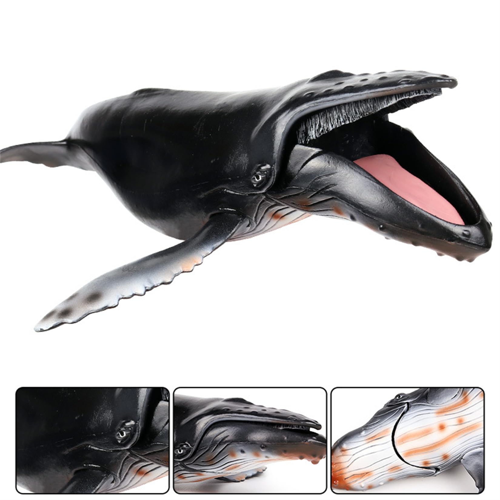 Amazon | EUHELOPA ザトウクジラ フィギュア 鯨類 可動 口が開閉可能