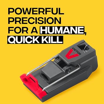 Victor Quick-Kill Mouse Traps, 6-Pack