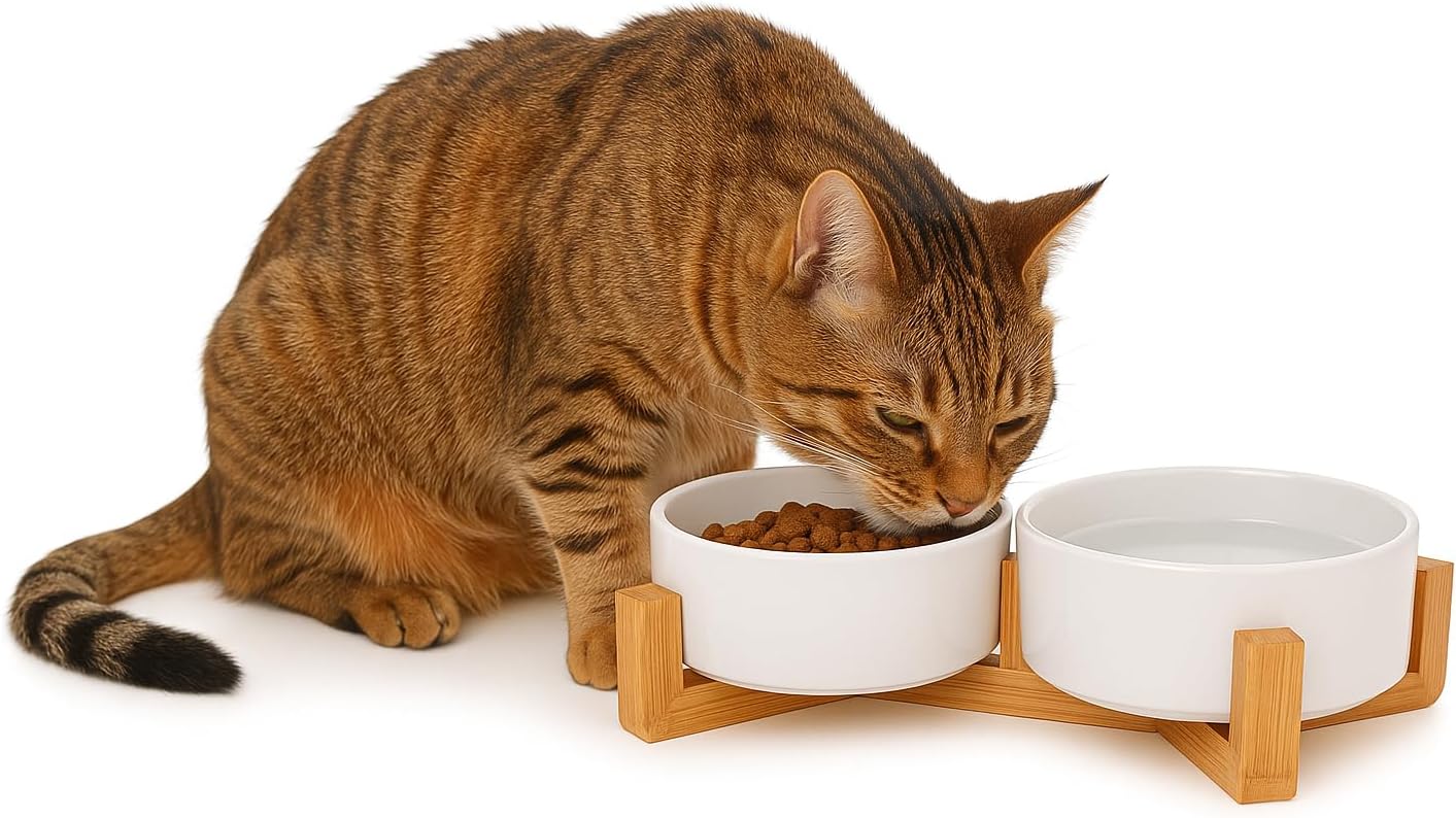 Elevated Ceramic Pet Bowls – Double 13.5oz Raised Cat Dog Bowls with Bamboo Stand | Non-Toxic Ceramic Food Water Dishes | Modern Spill-Resistant Feeder for Small Dogs & Cats