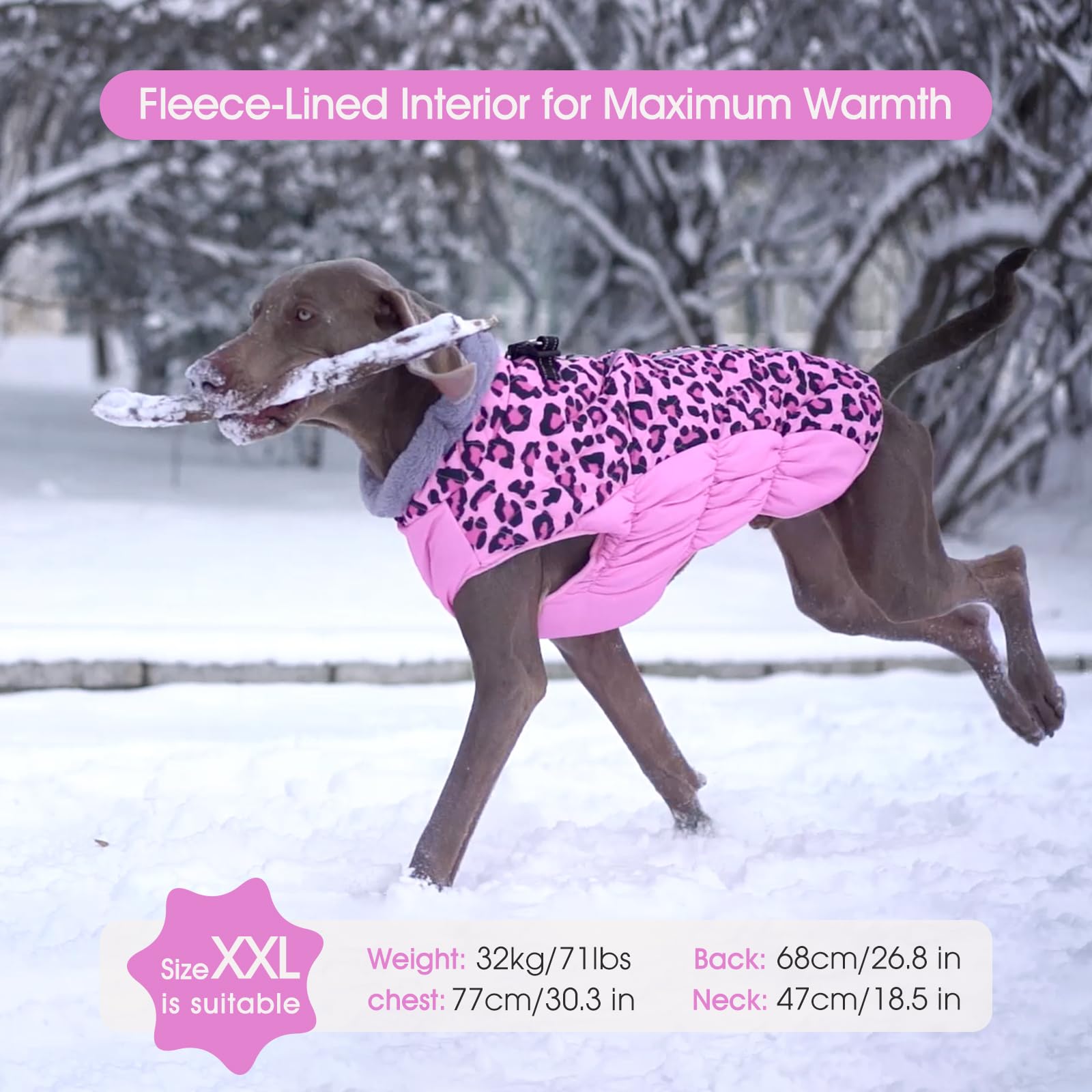 FUAMEY Abrigo de invierno para perro, chaqueta para clima frío con cremallera, arnés integrado, chaleco acolchado, resistente al agua, reflectante, leopardo rosa, S/M/L/XL