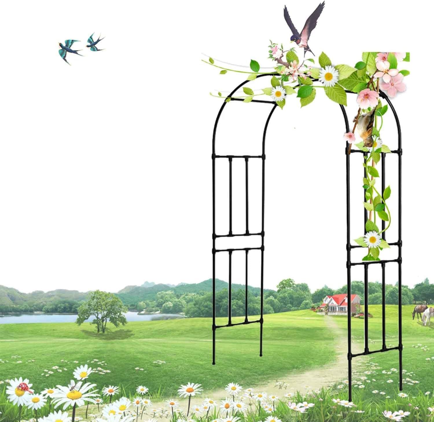 Pergola en métal pour plantes grimpantes arche de jardin design noir pour allée fleurie