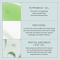 Vista 5 de Nioxin Espray espesante, volumen y textura para cabello fino, aceite de menta, 5.1 onzas (el embalaje puede variar)