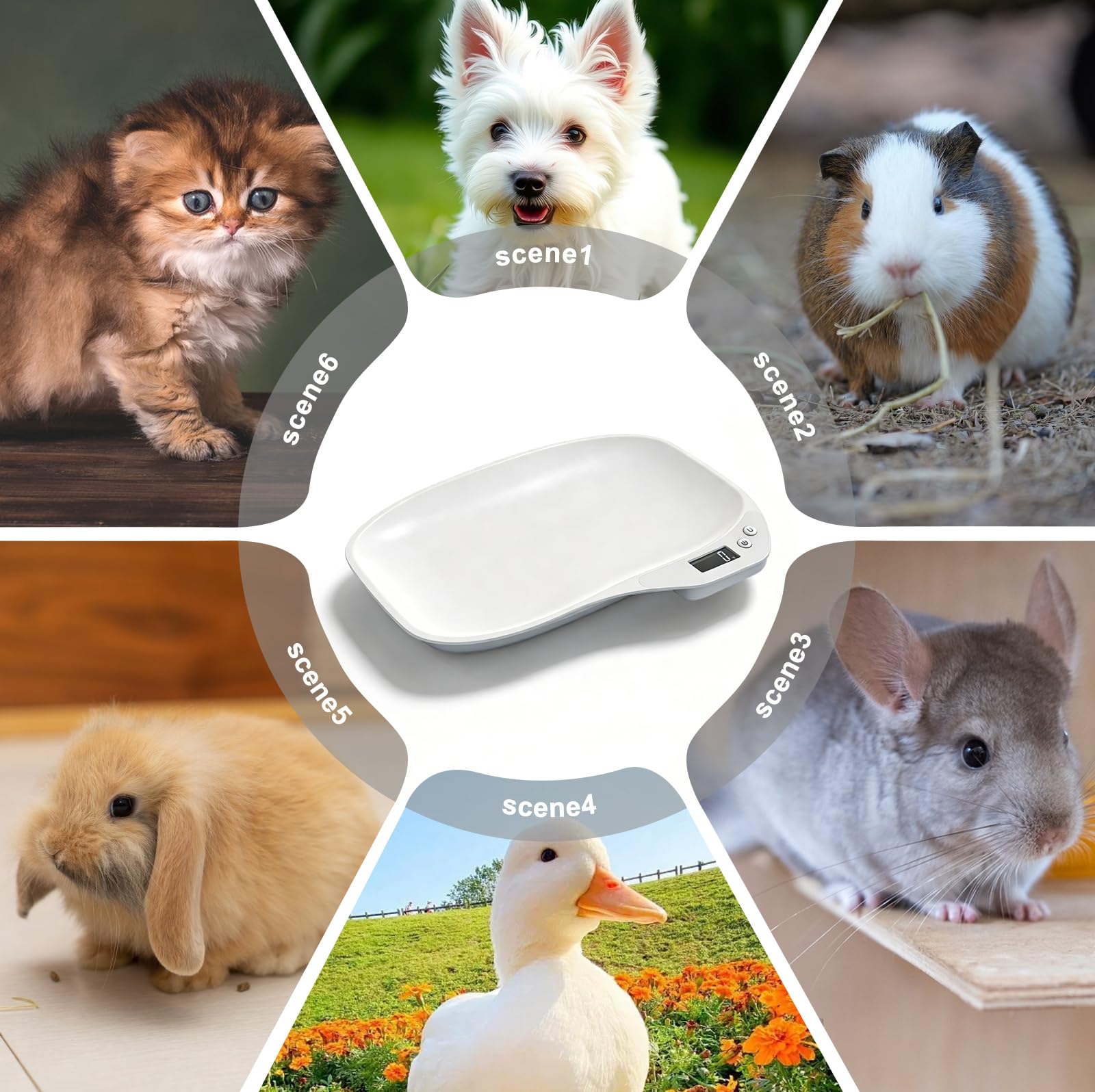 Bilancia digitale per animali domestici, 15 kg/1 g, per animali di piccola taglia, con display LCD, unità commutabile, 35,7 x 25,5 cm, piccola scala per animali domestici, per gatti, cani, cuccioli