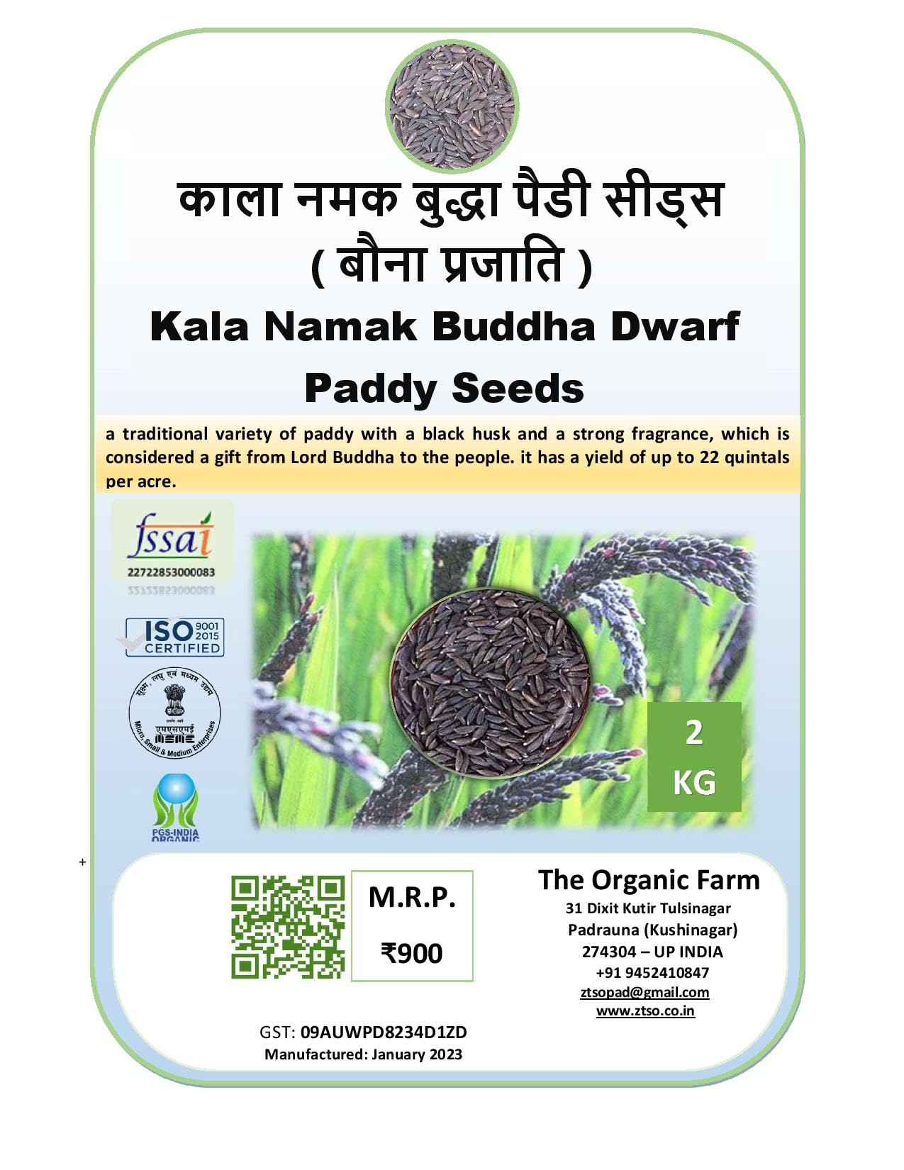 Kala Namak Buddha Dwarf Paddy Seeds - 2000 Gram (B0CNKQN3K4) Amazon Price History, Amazon Price Tracker