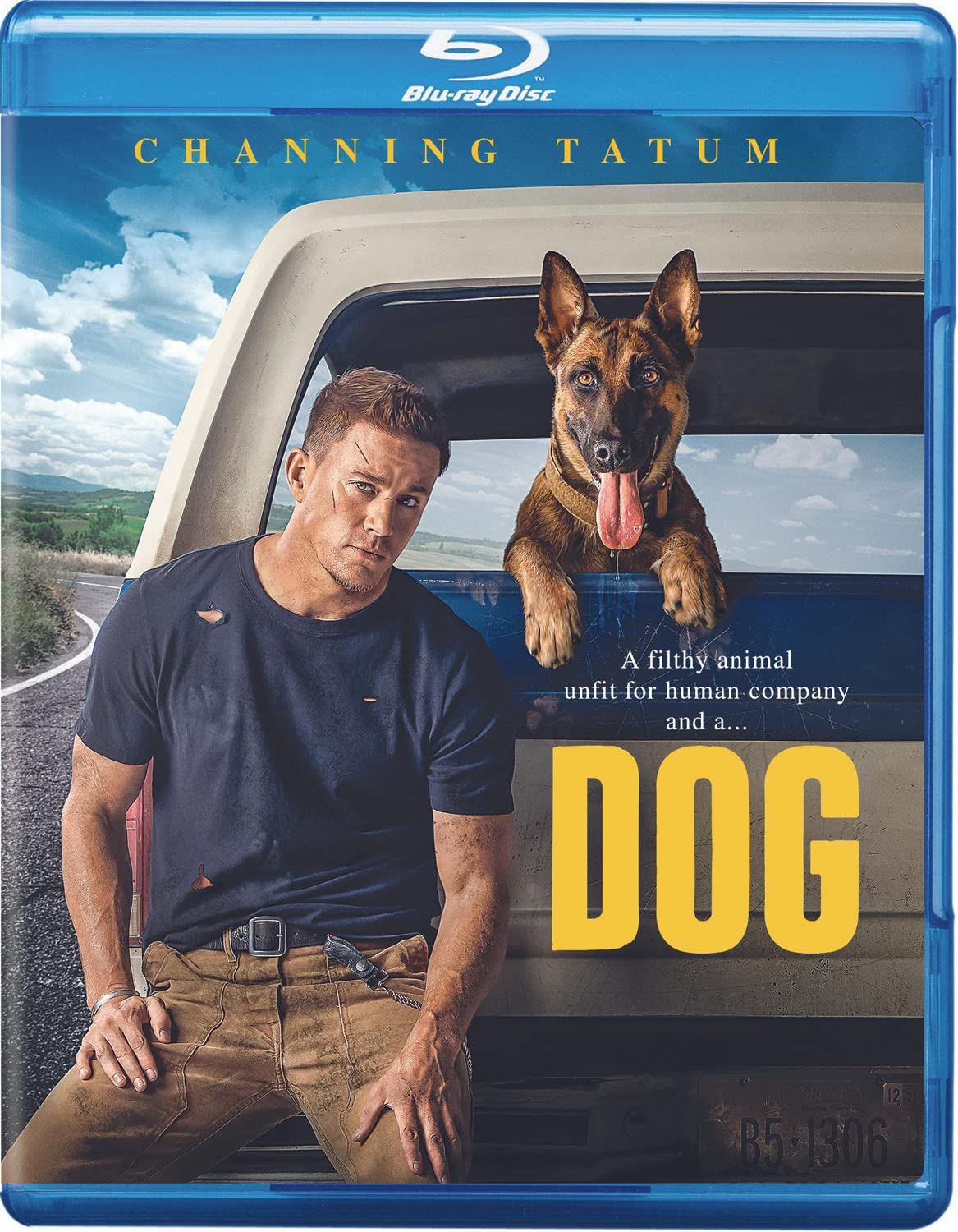 Dog Blu-ray Evita Cortes de Streaming con esta Edición Física de Máxima Resolución USA