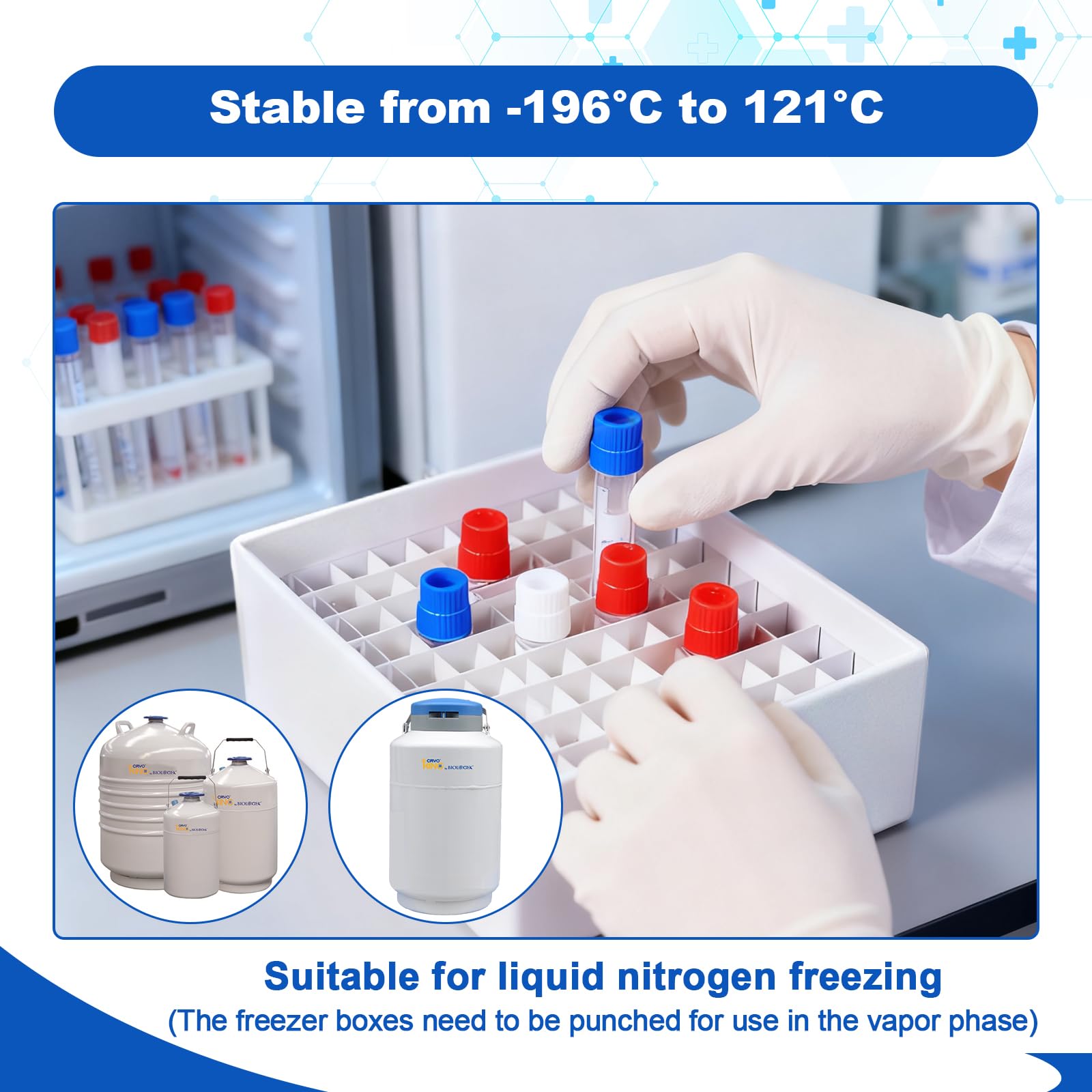 81-Well-Kryo-Boxen, 5,1 cm Höhe, 20 Stück | Robuste Kryobox aus Karton, stabil von -196 °C bis 121 °C, herausnehmbare Trennwand, für Labor-Kryovialaufbewahrung
