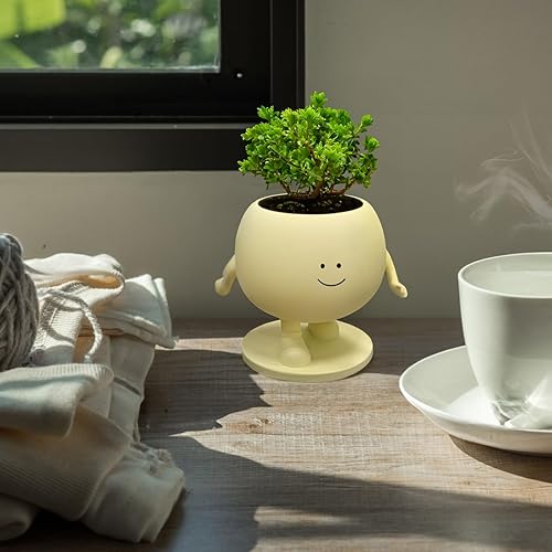 Miniatura 5 de youlifafa Macetero de cara para suculentas, macetas pequeñas de interior para mini plantas de resina con orificio de drenaje, regalo único para mamá