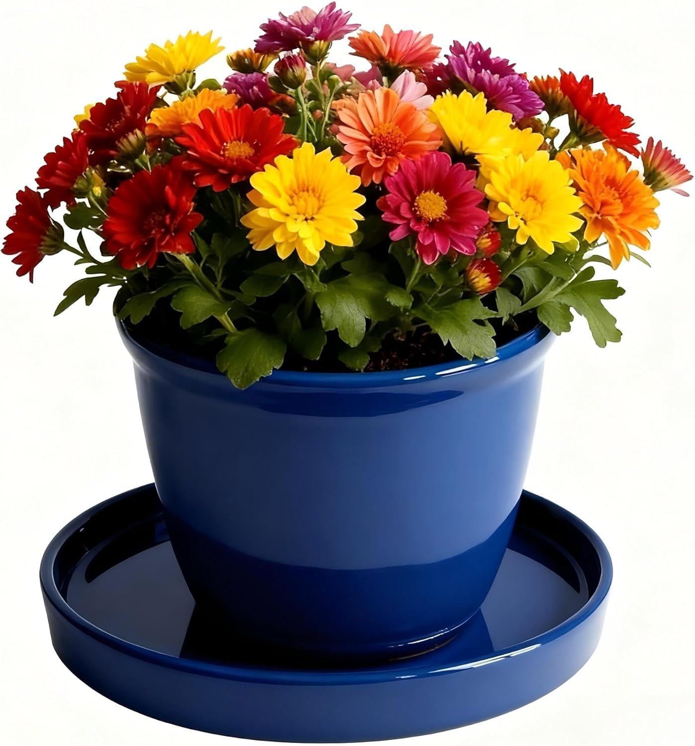 Ceramic Plant Saucer Pot Tray 6, 8, 10 Inch Blue, Planter Saucers for Indoors Outdoor, Durable Sturdy Flower Drainage drip Water Tray for Glazed Pots Base