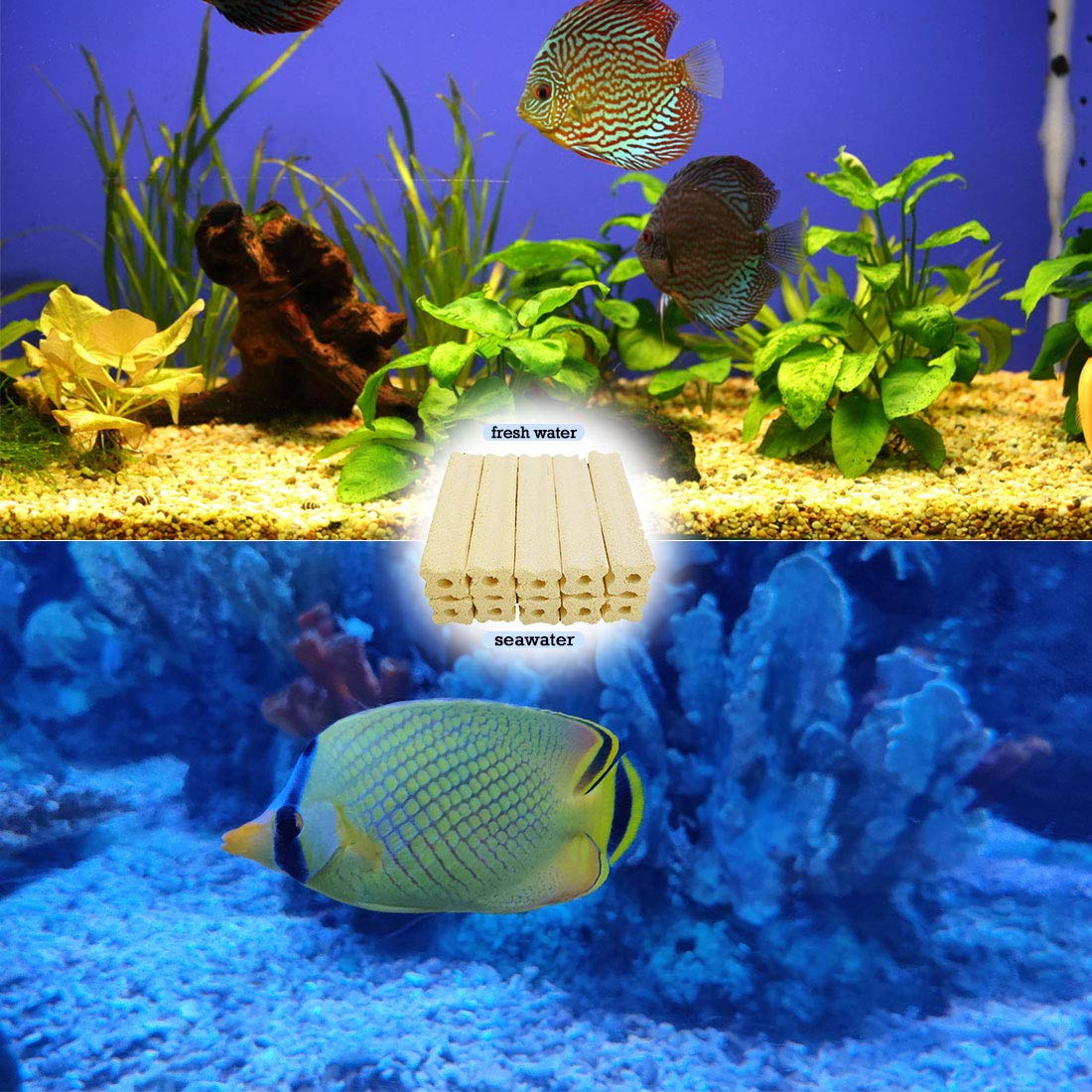 PINVNBY Filtro de acuario Medios de filtración de cerámica para filtro de sumidero, filtro de ducha Bakki, filtro de trucos, acuicultura y estanques Koi (paquete de 20)