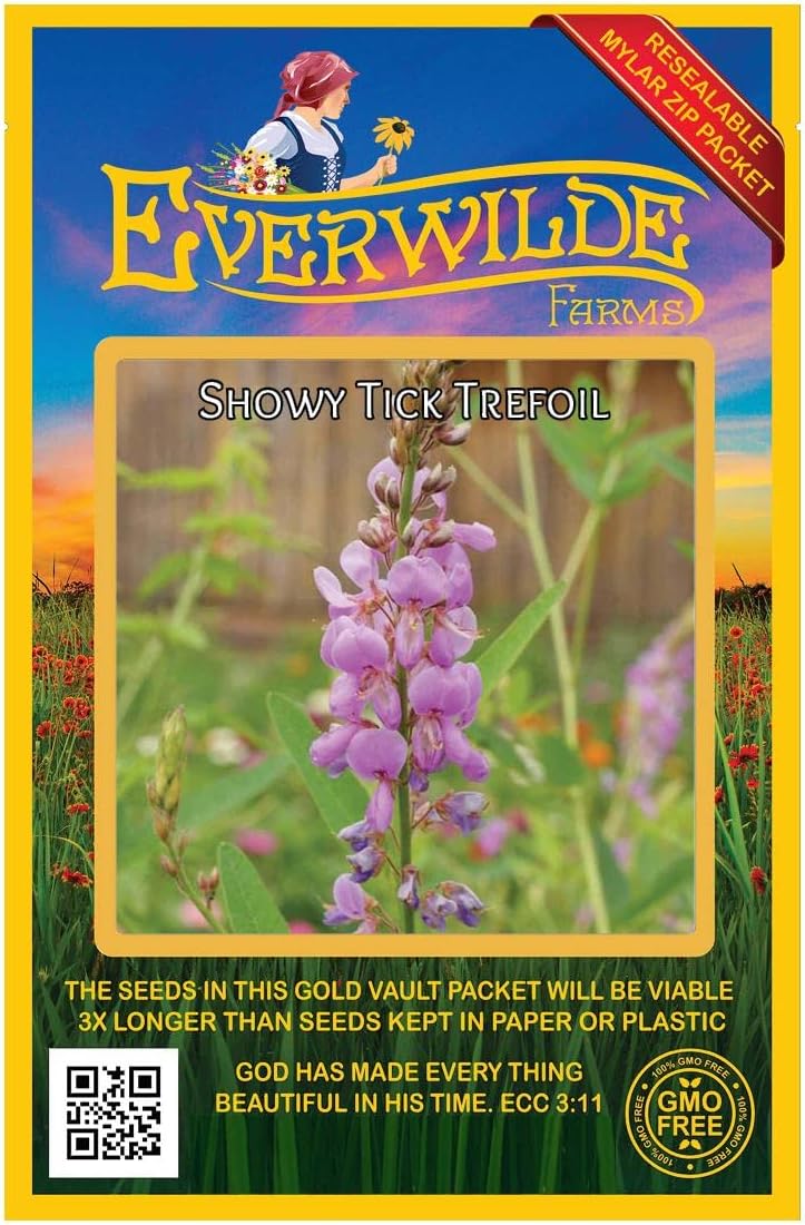 Everwilde Farms - 1/4 Lb Showy Tick Trefoil Native Wildflower Seeds - Gold Vault