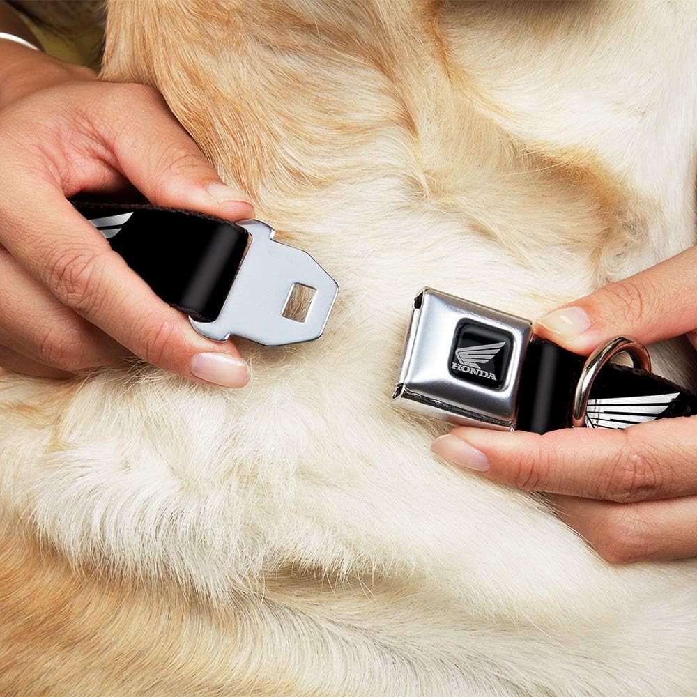 Buckle-Down Seatbelt Buckle Dog Collar - HONDA Motorcycle Logo Black/White - 1" Wide - Fits 9-15" Neck - Small
