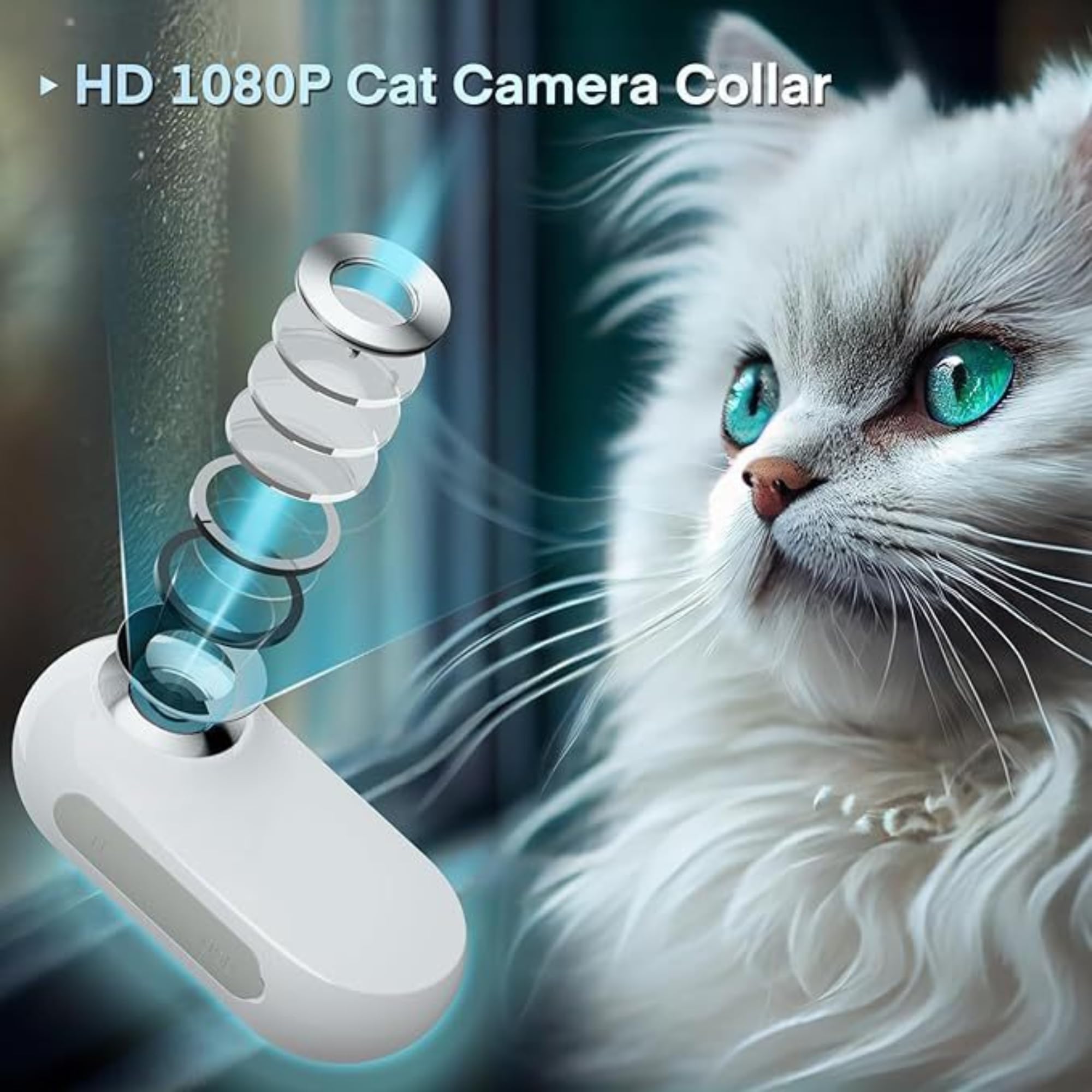 2026 Katzen Kamera Halsband, 170 Weitwinkel Tracking Katzen Kamera, Cat Camera Collar Für Katzen USB-Ladekabel Einstellbares PET-Kamerahalsband Für Hunde Und Katzen (schwarz)