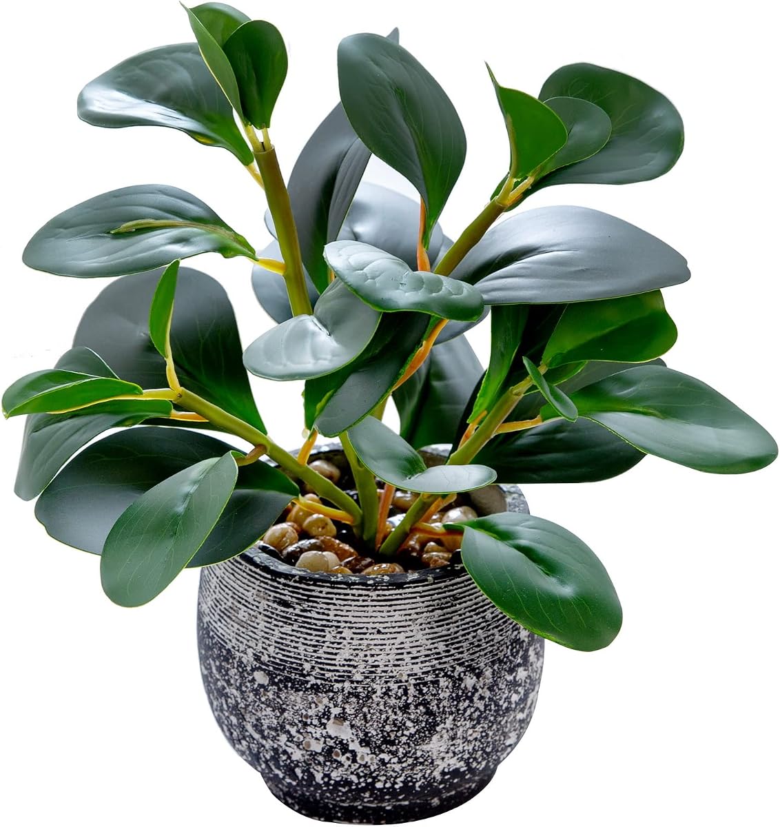 Small Artificial Ficus in Black Cement Pot Desk Decor | Fake ficus plant no watering ideal decor for kitchen, office, desk, bookshelf and all compact indoor spaces