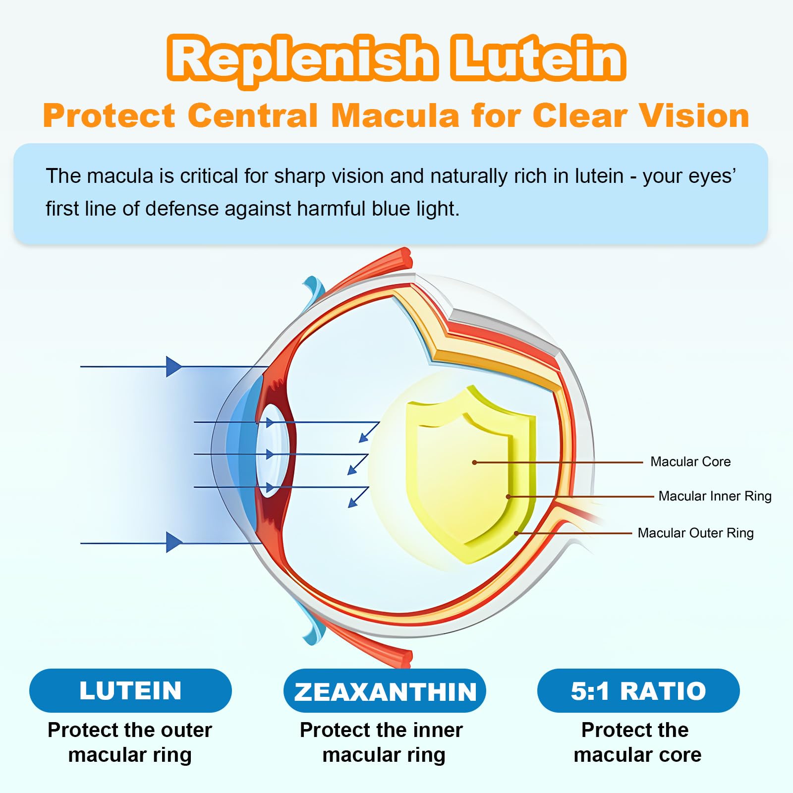 Sugar Free Lutein Gummies 25mg, Lutein and Zeaxanthin Supplements for Eye Health, 13-in-1 Eye Care Formula with Omega-3 Bilberry Saffron-Vision Health, Eye Strain, Dry Eyes,Vegan Orange Flavor 120 Cts — Amazon image 5