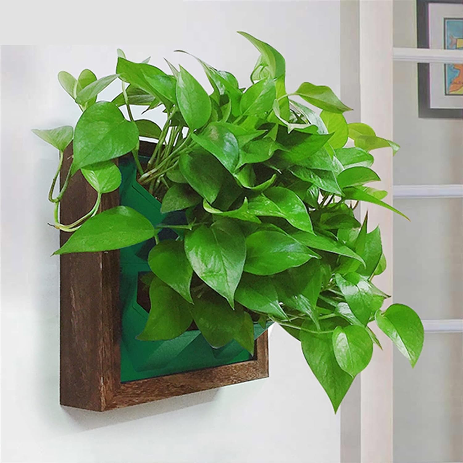 INLIMA Plant Pot Decorative Hydroponic Picture Frame Planter Bracket Vertical Garden Wall Planter
