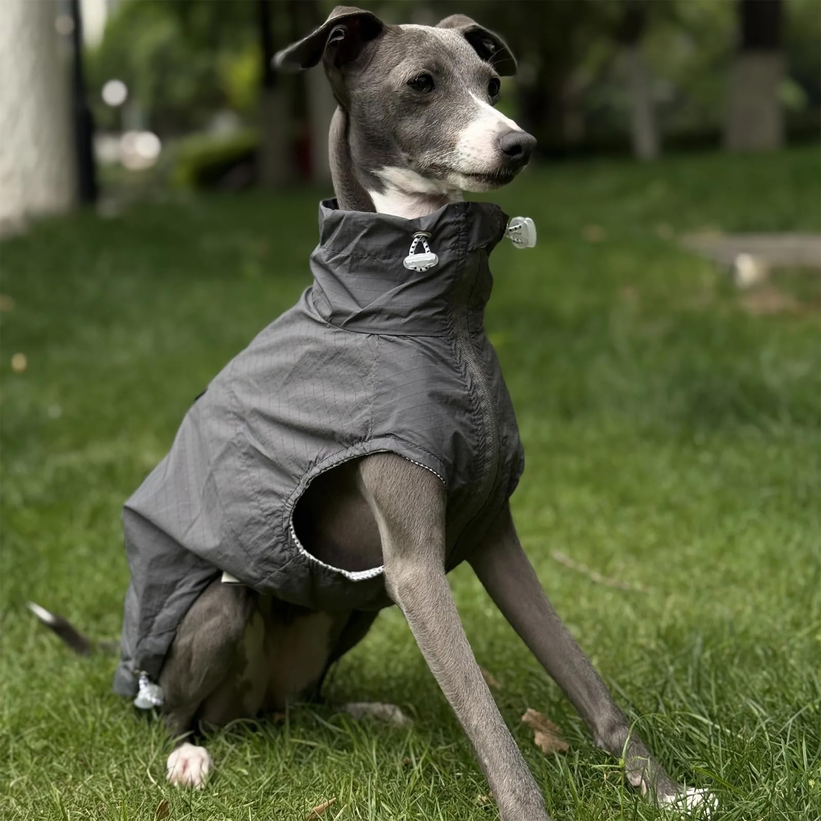 Sonnenschutz Hund Shirt, Sommer Cool Light Jacke Mit Reißverschluss, Schnelltrocknen Ärmelloses Dünnes T-Shirt Für Greyhound