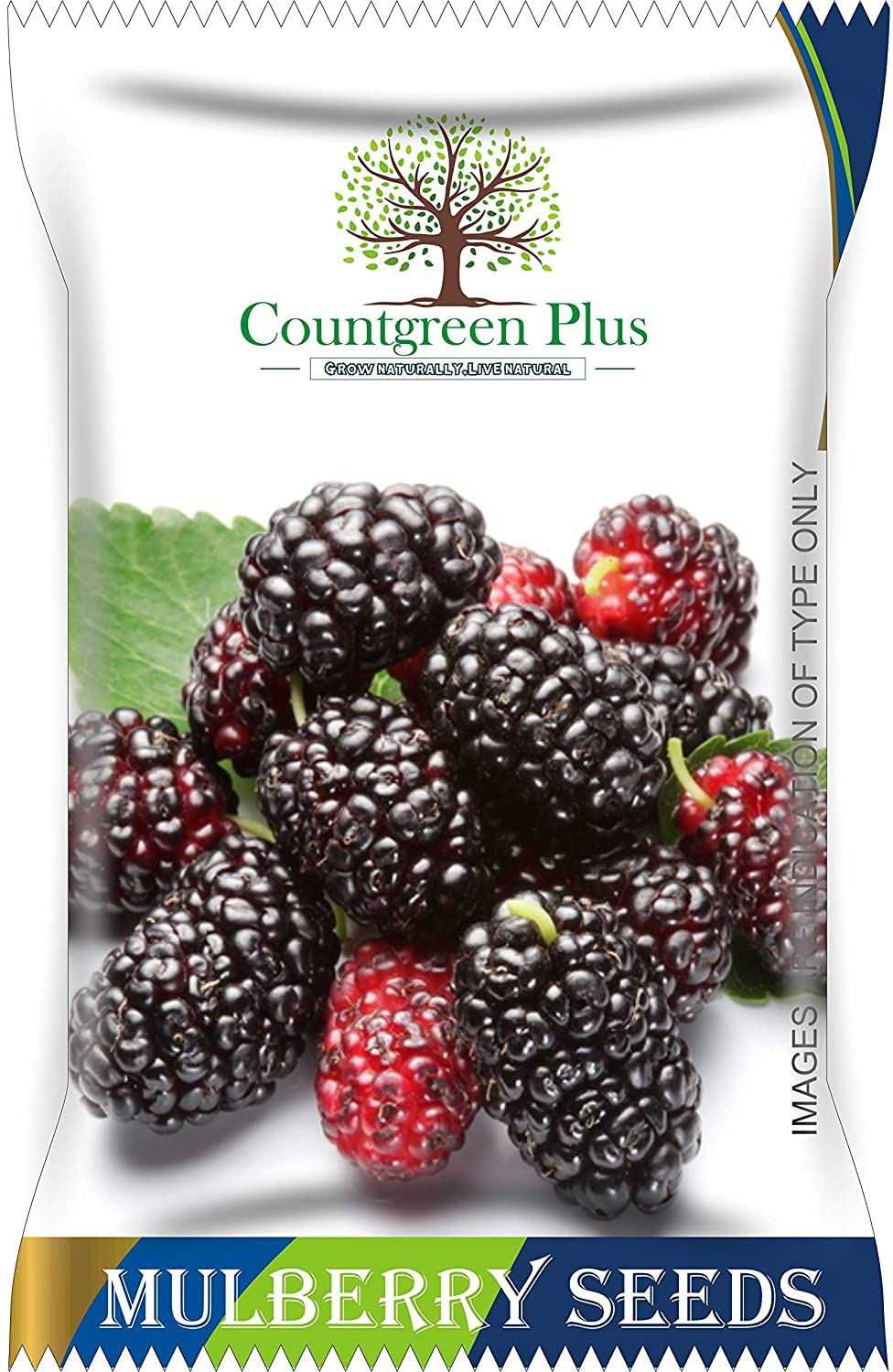 Countgreen Plus Organic Mulberry Seeds (Sehtut) – Non-GMO, Pack of 200, Ideal for Home, Garden, Terrace, and Balcony Planting, All-Season Growing Fruit Seeds (B092JDVBWV) Amazon Price History, Amazon Price Tracker