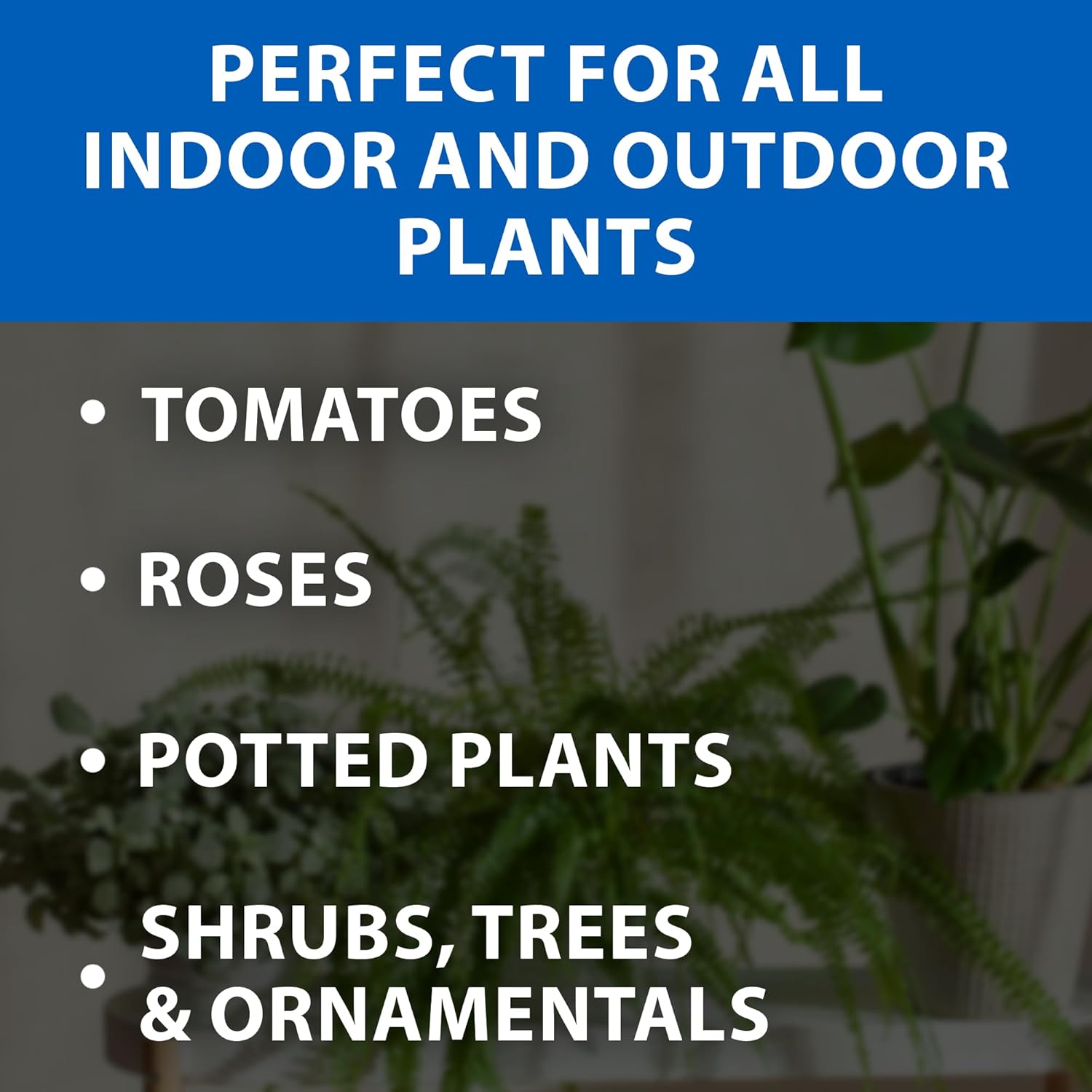 Monterey Fish & Grow 9-6-2 Fertilizer – 1 Quart Liquid Plant Food for Houseplants, Trees, Vegetables & Ornamentals Bundled with Garden Measure Spoon – Covers Up to 4,000 Sq. Ft.