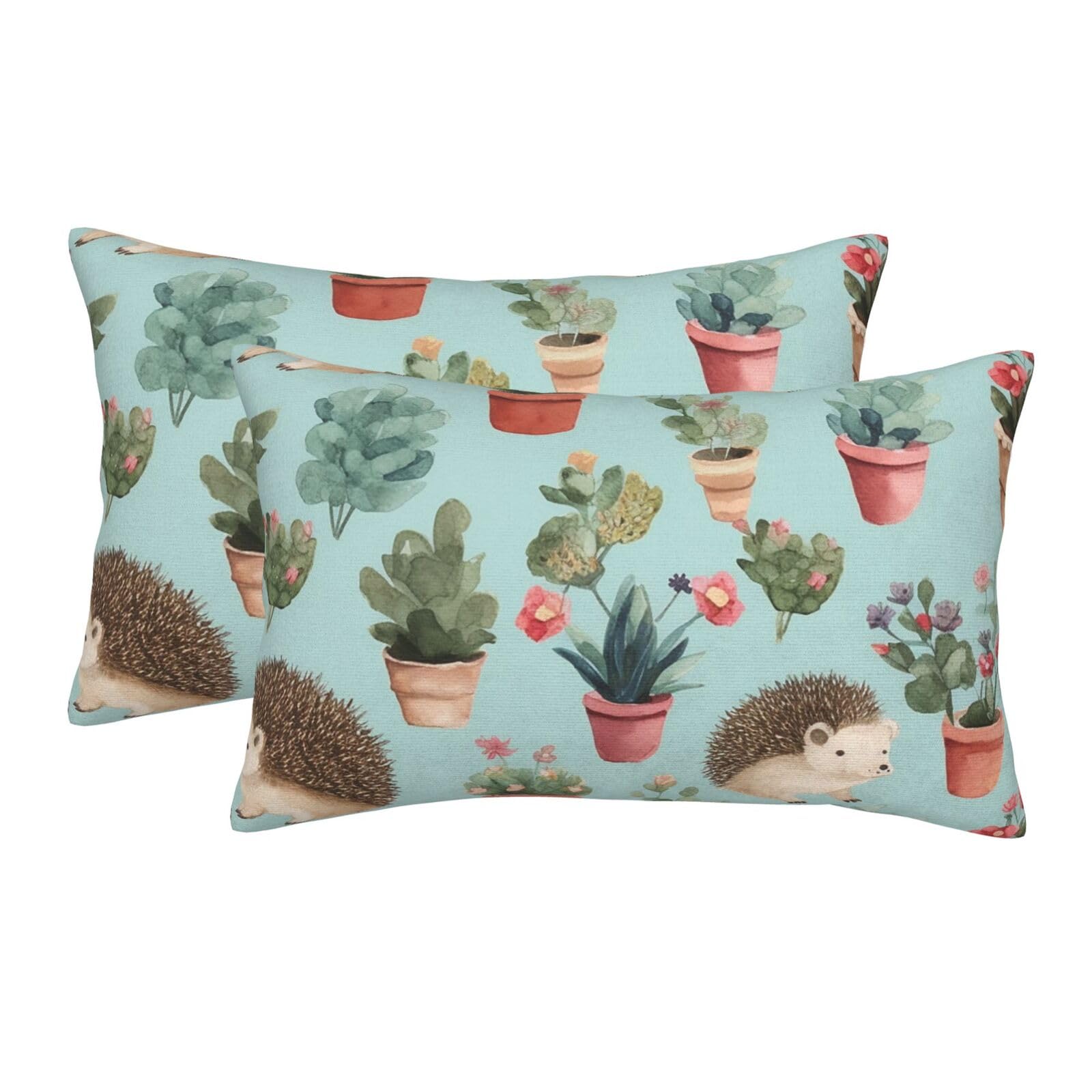2 Pack Standard Size Pillow Cases for Hair and Skin Soft Breathable Pillow Case Covers with Hidden Zipper Hedgehog Potted Flower Pillowcase 20"x30" Pillow Cover for Sleeping Gift