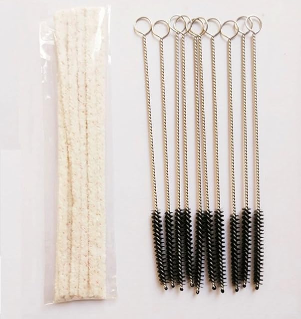 10 Pieces Pipe Cleaners + 10 Pieces Brushes for P3 P2 Cleaning Supplies, Black
