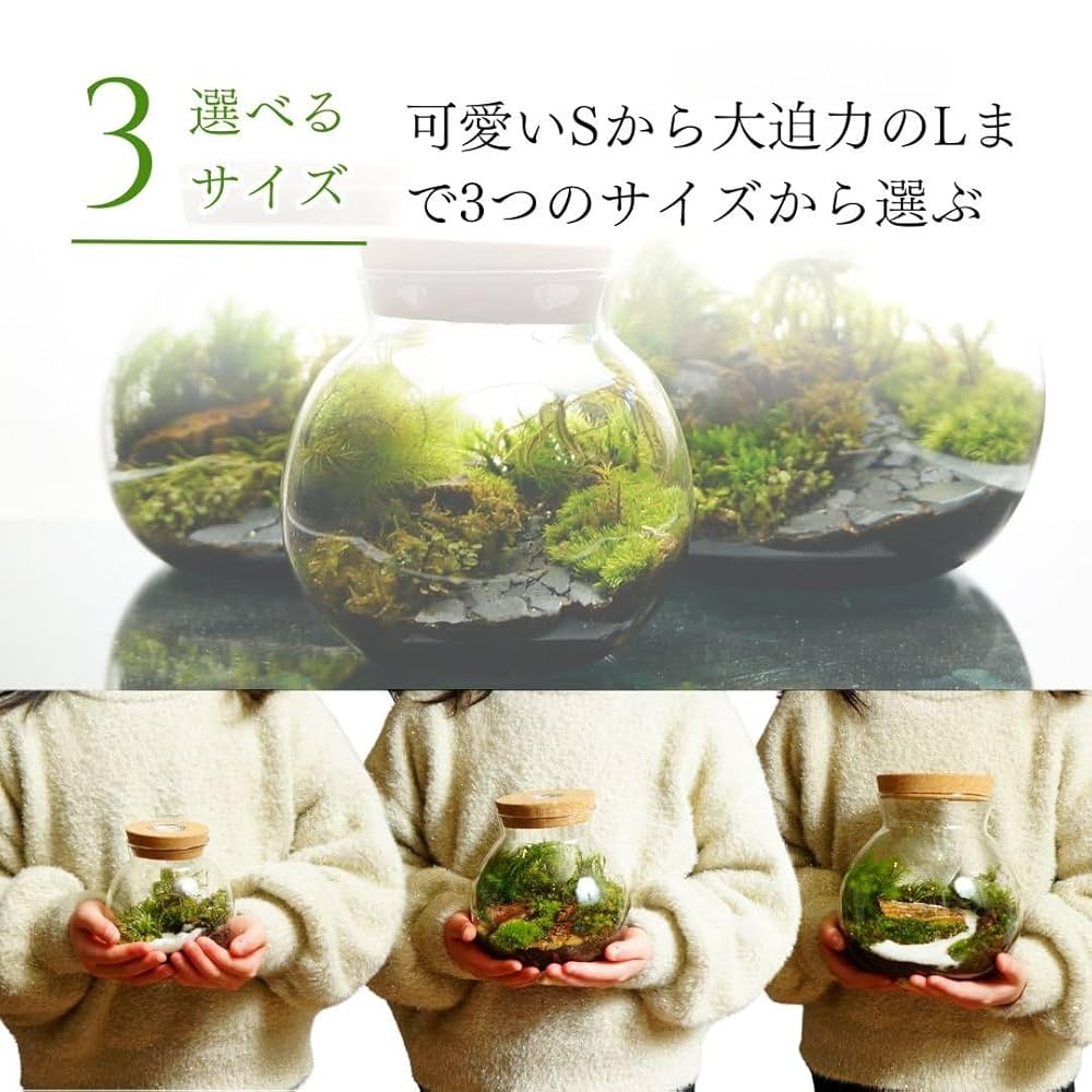 Amazon.co.jp: 【苔庵介る】 苔テラリウム 完成品 S LEDライト蓋