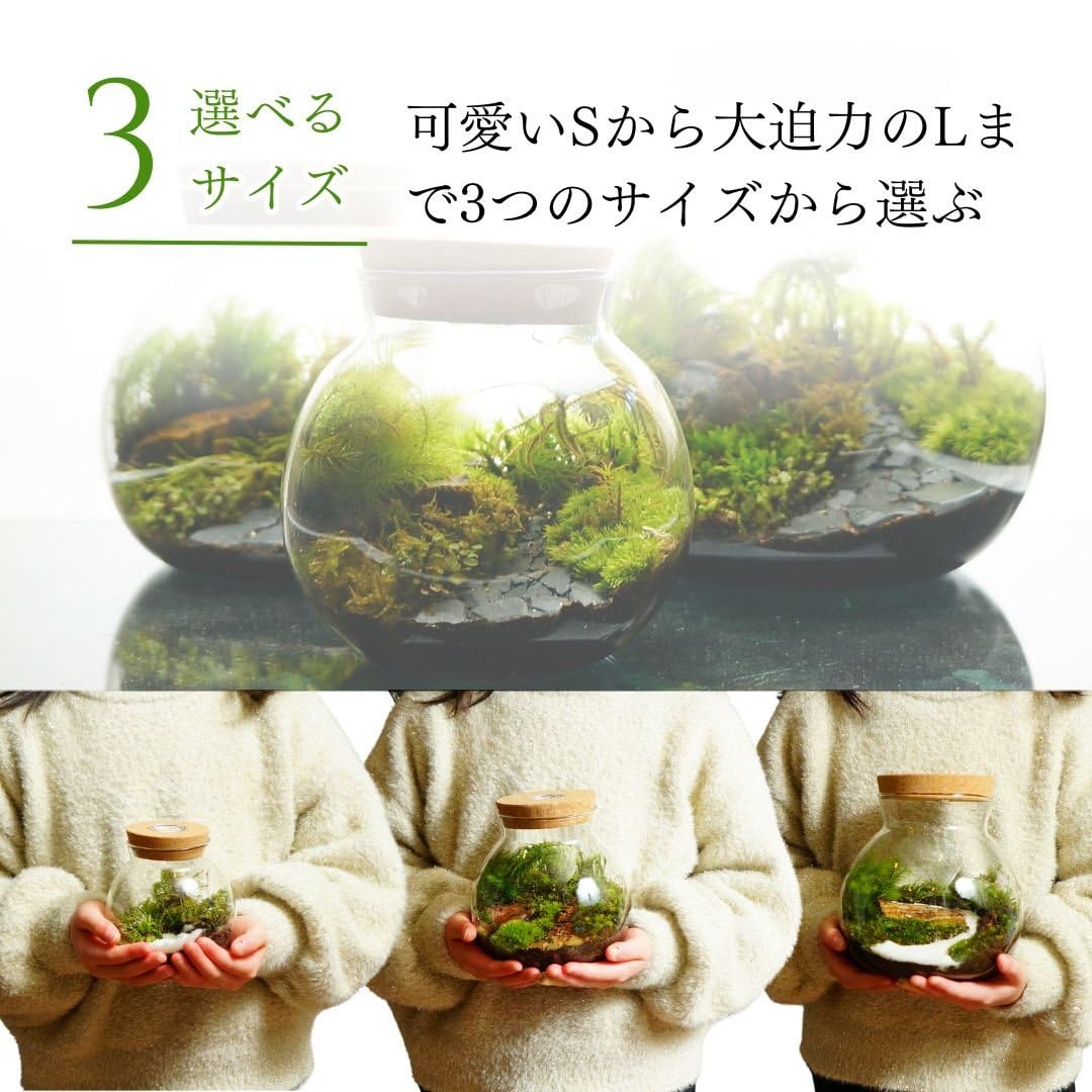 Amazon.co.jp: 【苔庵介る】苔テラリウム ガラス容器 LED付き ラウンド