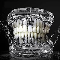 Vista 7 de Modelos de Implantes Dentales Restauración Typodont Dientes Modelo Demostración Oral Patología Puente Enseñar Estudio Color Claro M2001