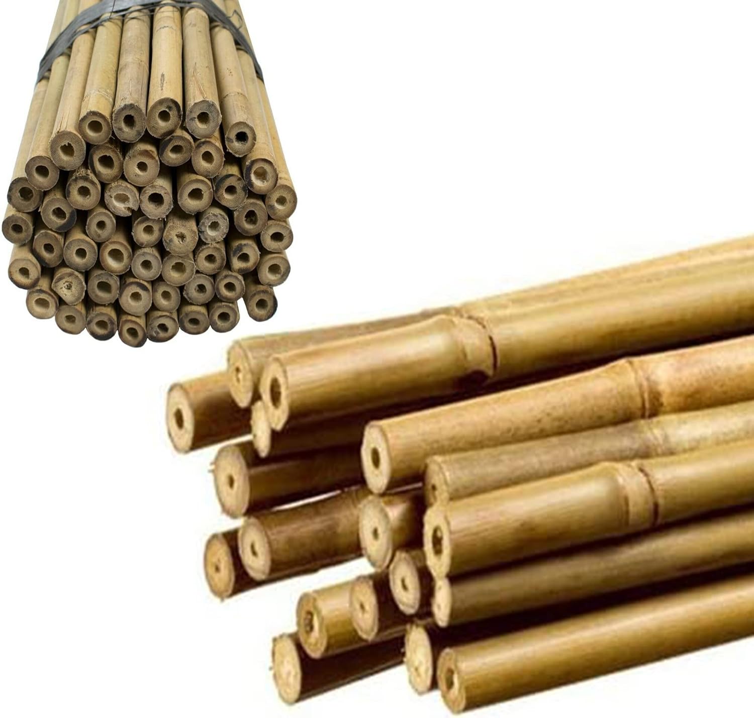 Q&H Natural 2ft 4ft 6ft Bamboo Canes Plants Growth - Large Wooden ...