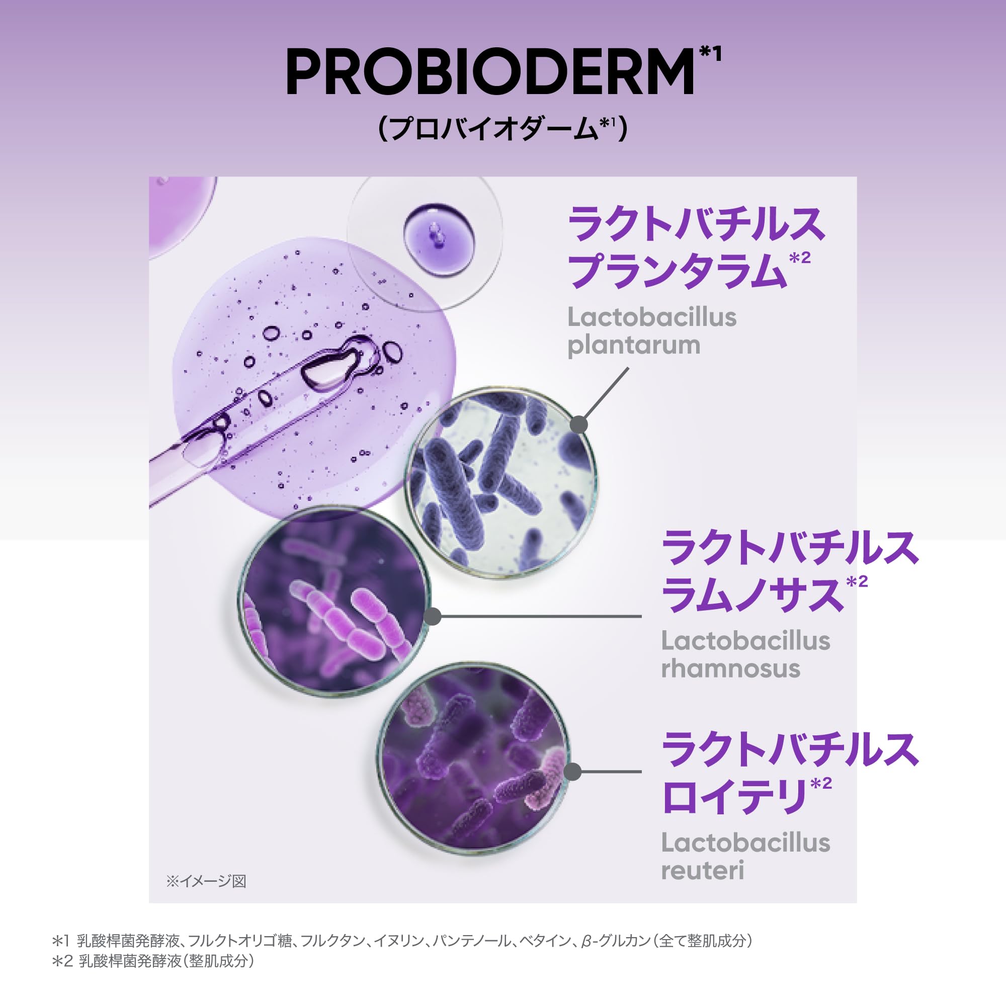 Amazon.co.jp: バイオヒールボ(BOH)プロバイオダーム コラーゲン