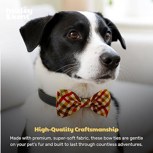 Miniatura 7 de Huxley & Kent - Corbatín para mascotas para perros y gatos - Collar ajustable de gancho y bucle para otoño - Accesorio lindo y cómodo para fiestas y