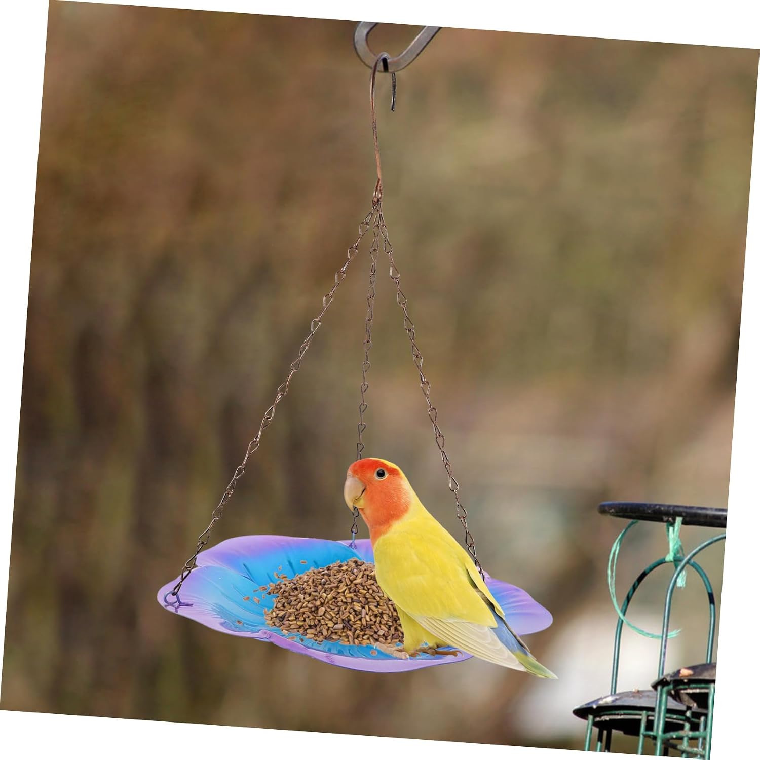 COLLBATH Outdoor Hanging Bird Feeder Sturdy Iron Tray Window Mounted Wild Bird Feeders for Garden Courtyard Easy to Maintain Purple Flower Design