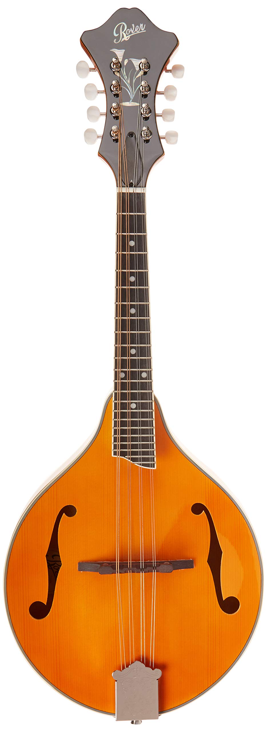 ROVER A-MODEL MANDOLIN SOLID TOP - Image 2