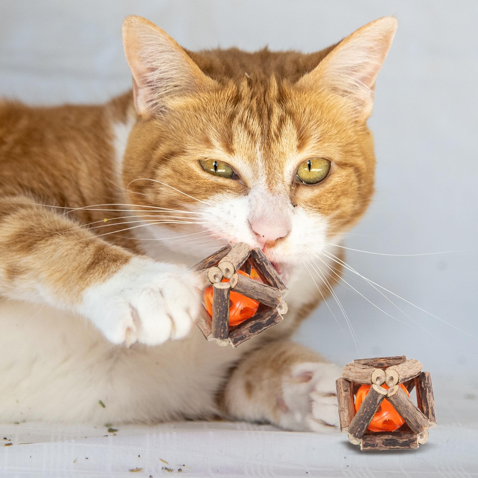 Pelotas masticables para gatos ideales para entretener a tu mascota sola en casa