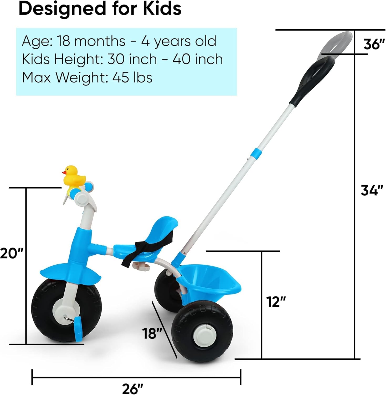 KRIDDO 2 in 1 Kids Tricycles Age 18 Month to 4 Years, Gift Toddler Tricycles, Trikes for Toddlers with Push Handle and Duck Bell, Blue : Sports & Outdoors