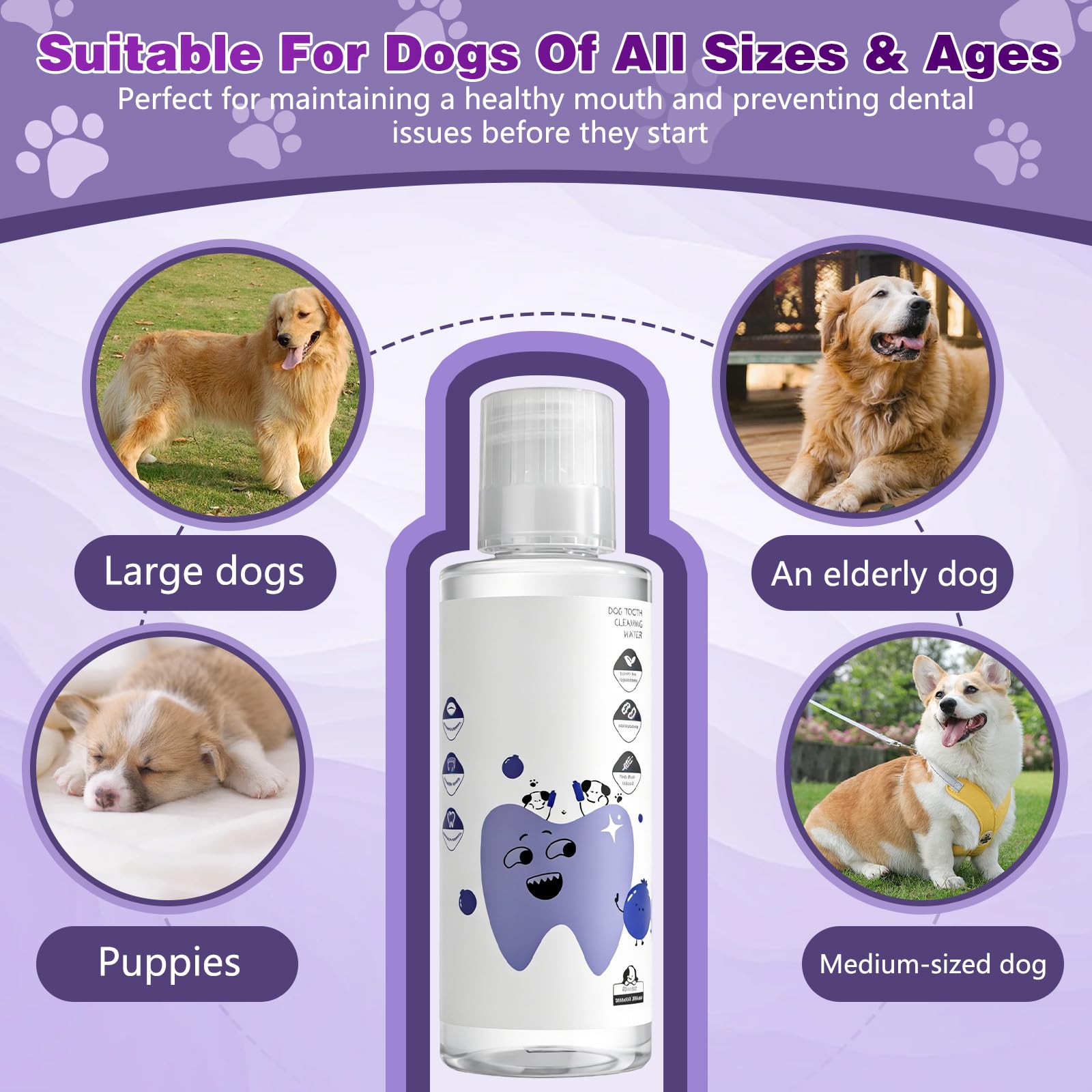 PawBright Dental Plus,Natural Odorless,Flavorless Formula to Fight Tartar,for Dental Water Additive,Promote Healthy Gums & Freshen Breath Easy Daily Use for All Pet - image 4
