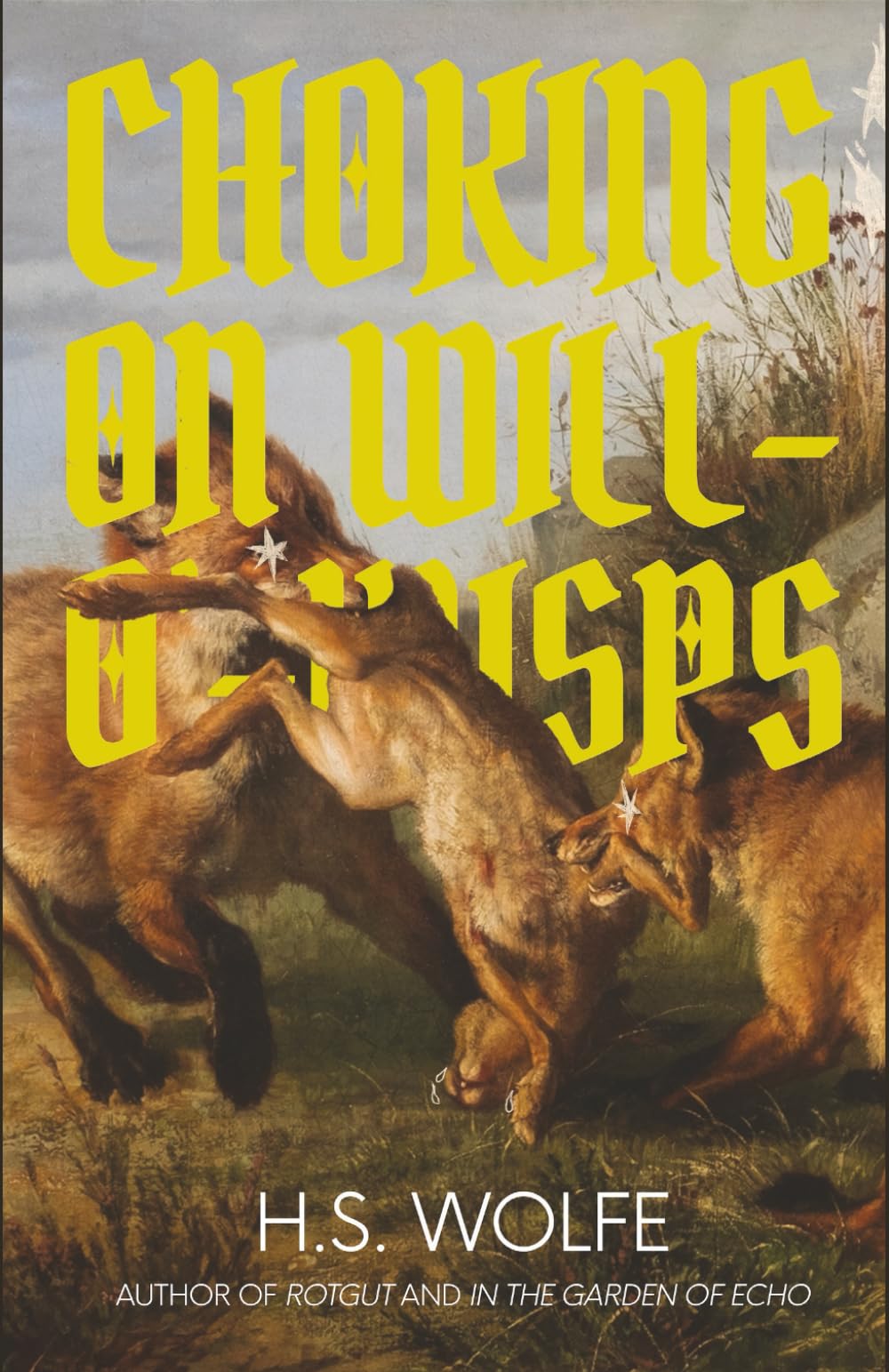 Choking on Will-O'-Wisps
