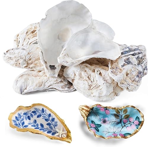 12 conchas de ostras naturales para manualidades, conchas marinas grandes de 5 a 6 pulgadas para manualidades, pintura de conchas, decoración de