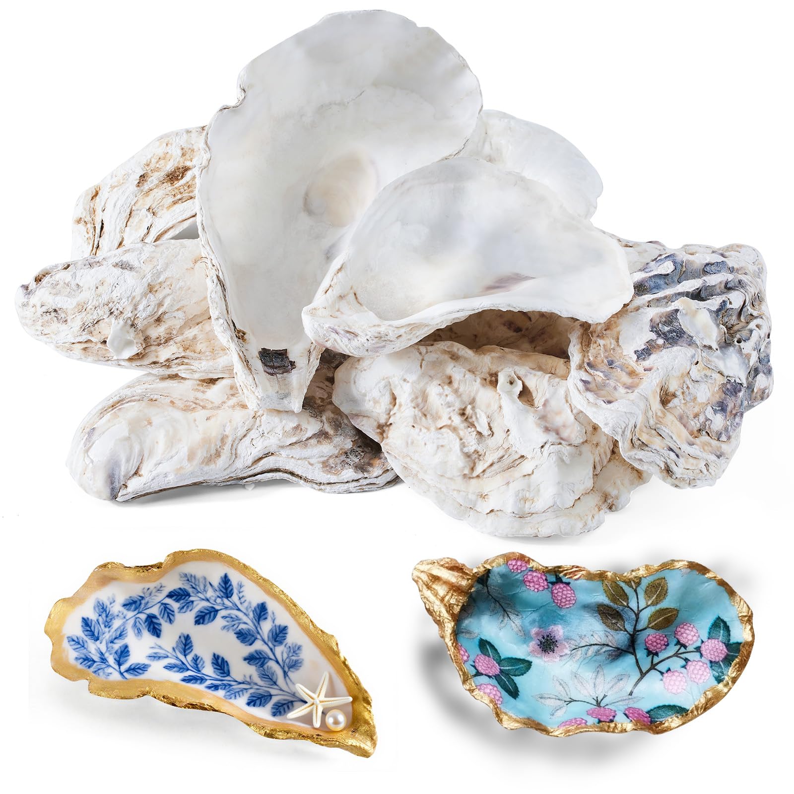 roudyuoen 12 Pcs Natural Oyster Shells for Crafts, 5-6 inch Extra Large Seashells for Crafting, Shell Painting, Beach Wedding & Christmas Decor, Vase