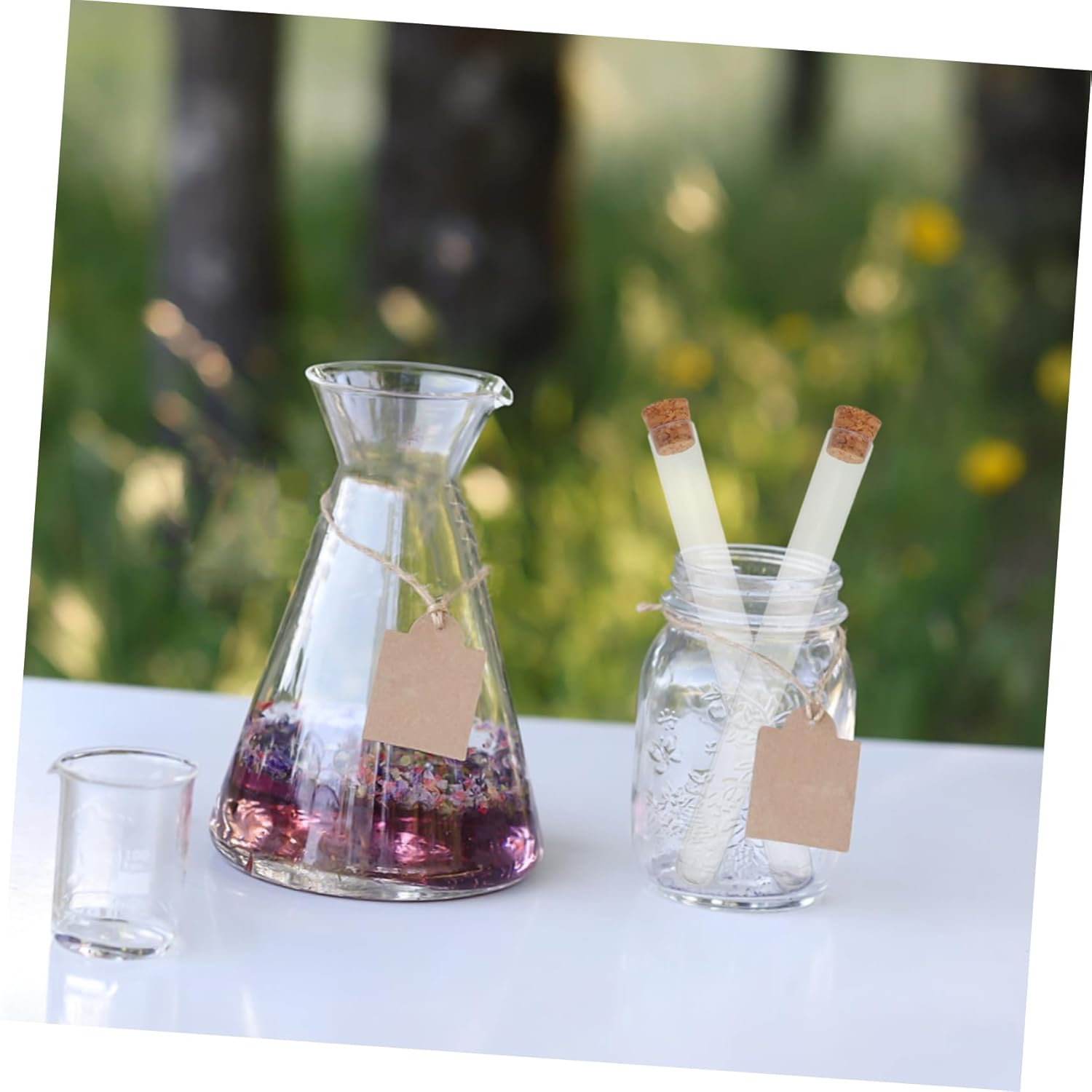 Veemoon 100Pcs Plastic Test Tubes Clear Laboratory Test Tubes for Scientific Experiments Sample Collection and Storage with Cork Stoppers Versatile and Convenient for Schools