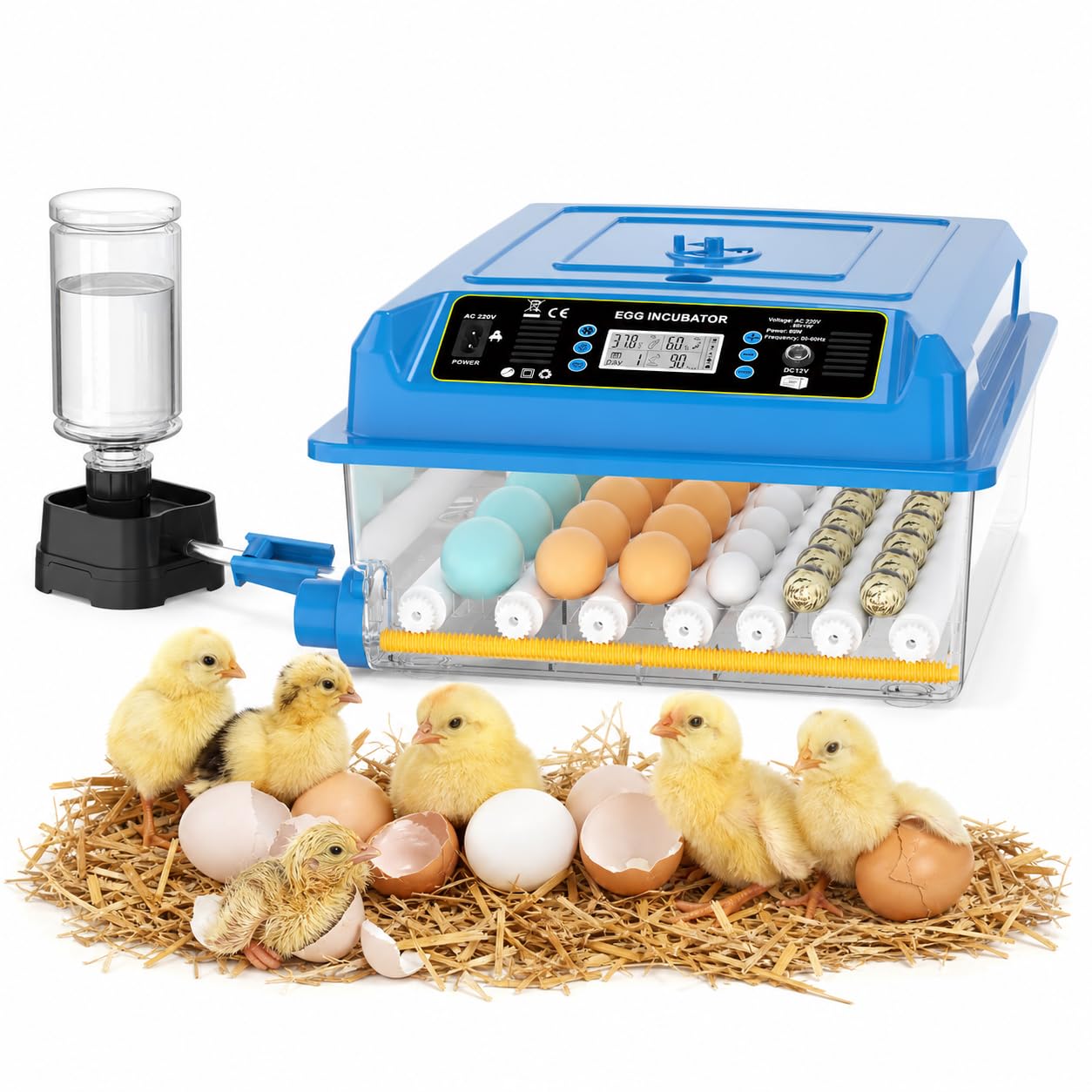 Chalixion incubatrice automatica 36 uova, 5 modalità cova auto, regolatore acqua esterno, controllo temperatura, rotazione uova auto, display cova, per galline anatre oche (Blu)