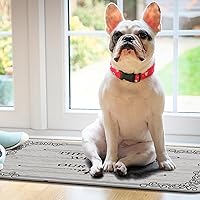 Vista 6 de Livole Tapete personalizado para puerta delantera, tapete de bienvenida personalizado con nombre de la familia, para interiores y exteriores