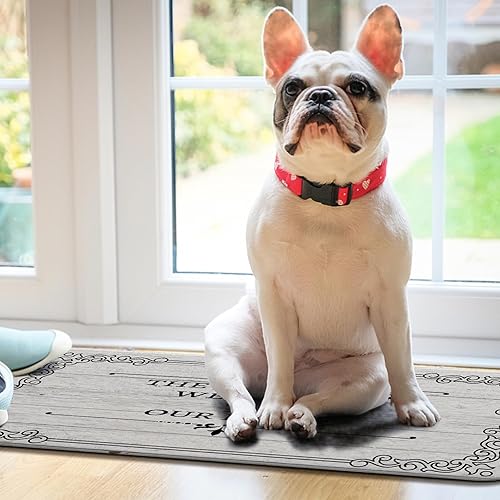 Miniatura 6 de Livole Tapete personalizado para puerta delantera, tapete de bienvenida personalizado con nombre de la familia, para interiores y exteriores con