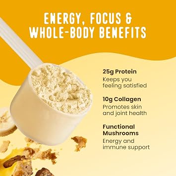 FlavCity All in One Protein Shake Powder, Banana Bread - On the Go Meal Alternative + Collagen Peptides, Reishi & Cordyceps - Focus, Skin, Hair & Joint Support - 100% Grass Fed Whey, 20 Servings