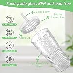 Glass Cups with Lids and Glass Straws, High Borosilicate 20OZ Tumblers (2Pcs) for Coffee, Tea, Juice, Smoothies, Hot or Cold Drinks at Home, Office