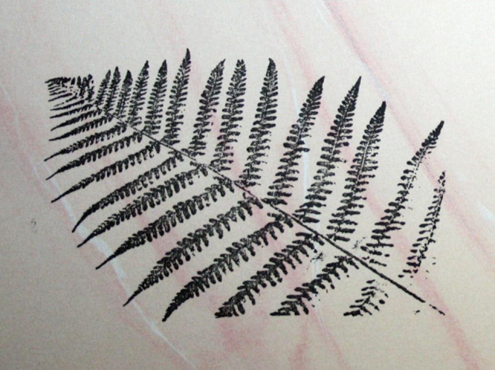 Umr Design St 095 Farn Stempel Stamp Size L 10cm | Desertcart Fiji