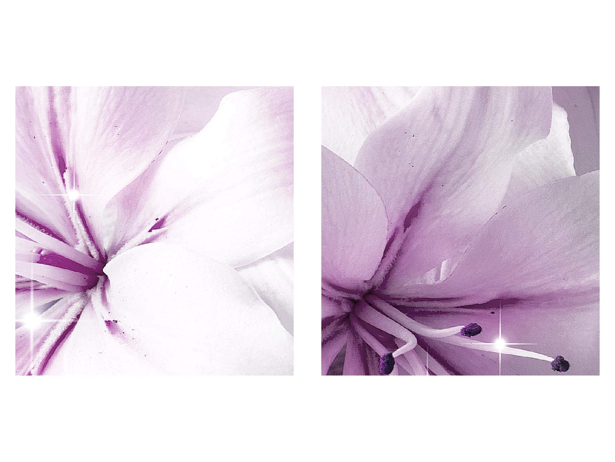 Runa Art Murali XXL Fiori Gigli 200 x 80 cm Rosa Grigio 5 Pezzi - Made in Germany - 021755b