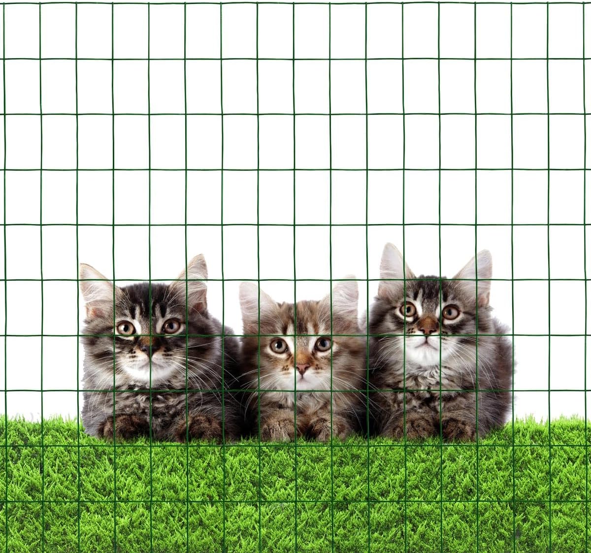 Green PVC Coated Welded Wire Mesh Garden Economy Fence 24 Inch x 50 Foot-3 Inch x 2 Inch 16GA