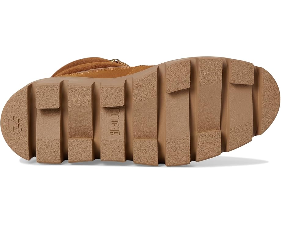 Cougar Niloa - Bottom View