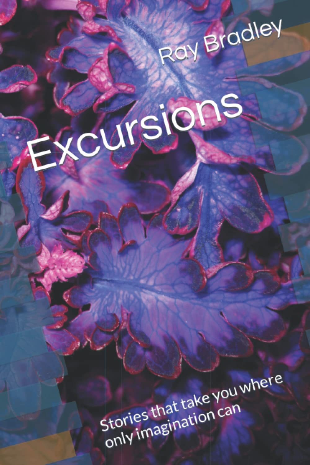 Excursions: Stories that take you where only imagination can