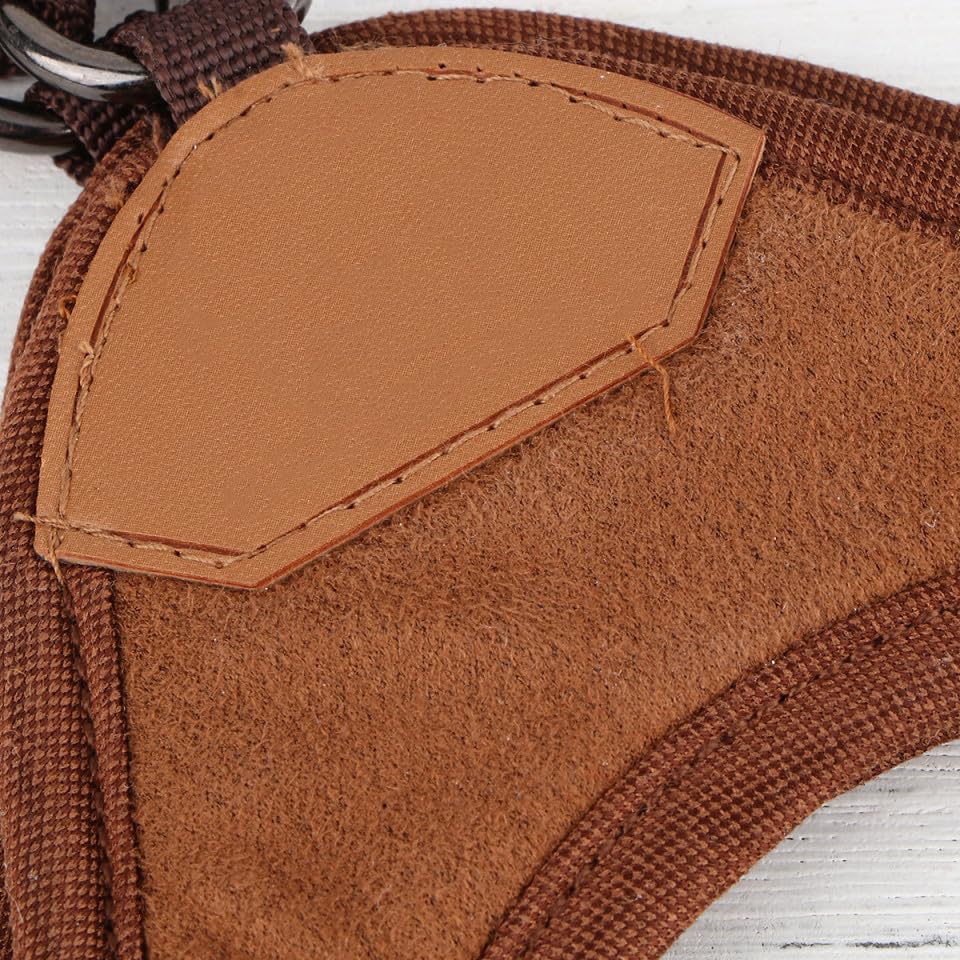 Laisse sangle de traction dull pour chat et chien | Set de promenade réglable
